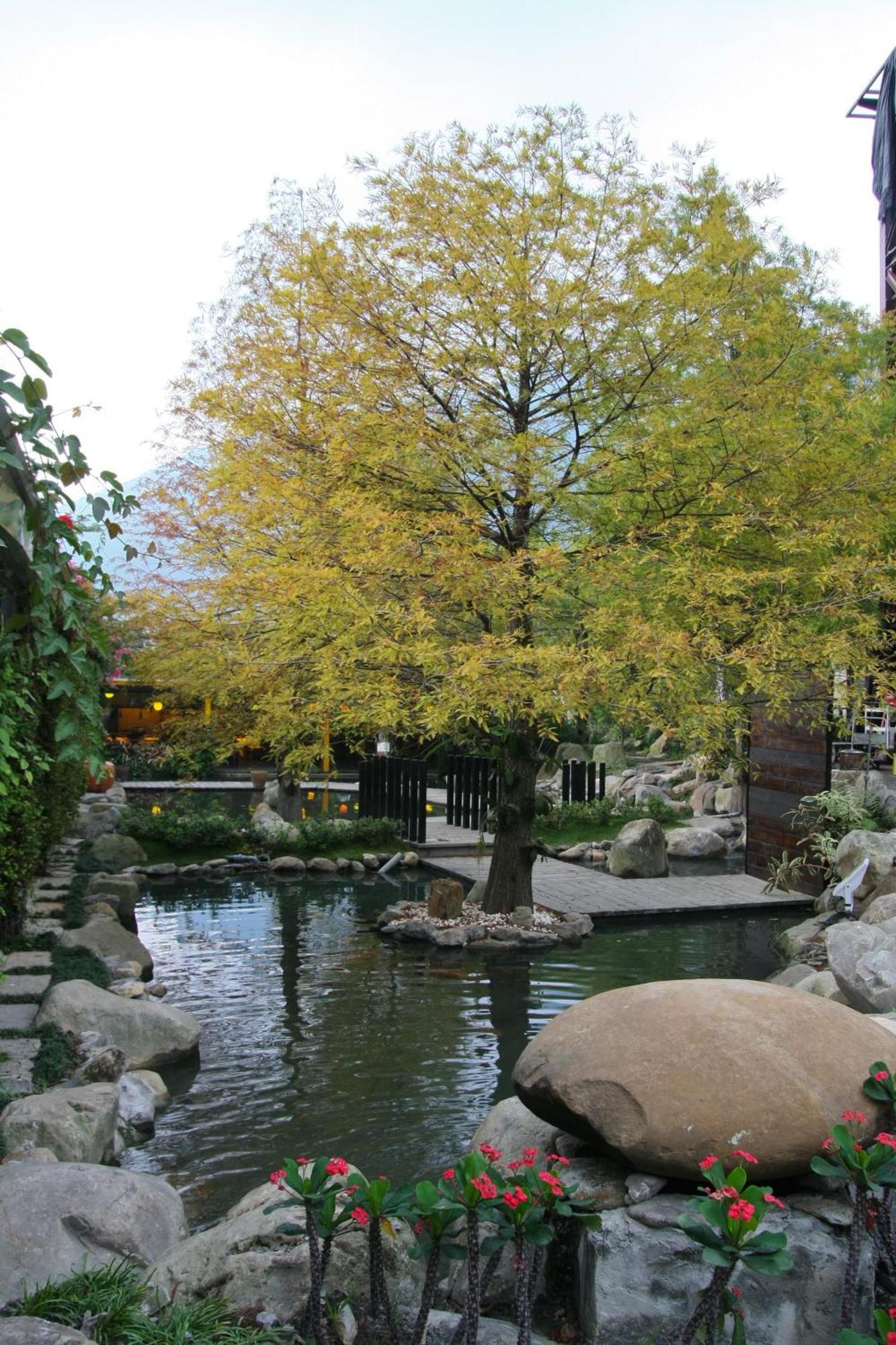 פולי Tai-Yi Red Maple Resort מראה חיצוני תמונה