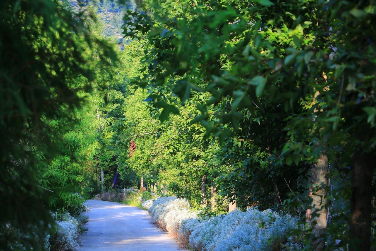 פולי Tai-Yi Red Maple Resort מראה חיצוני תמונה