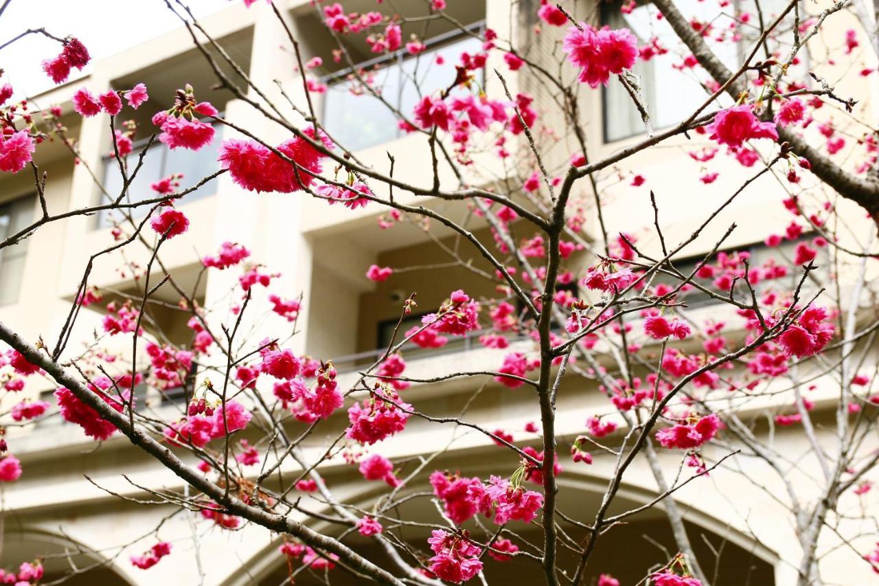פולי Tai-Yi Red Maple Resort מראה חיצוני תמונה